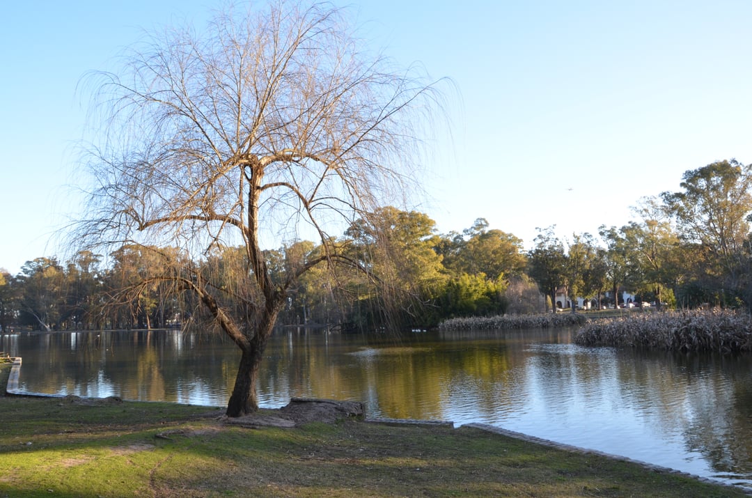 parque-rivera-malvin
