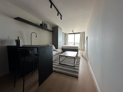 Alquiler de monoambiente amueblado en Parque Rodó / Edificio Cosmopolitan