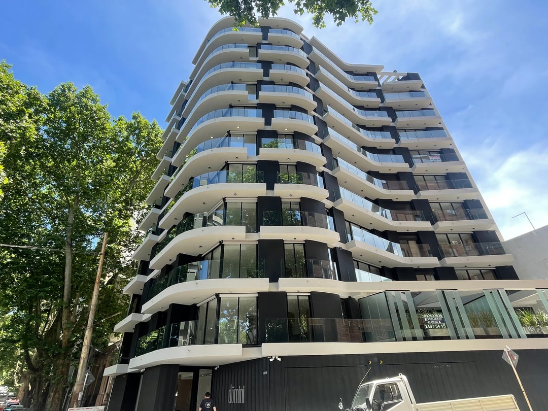 Domini Constituyente