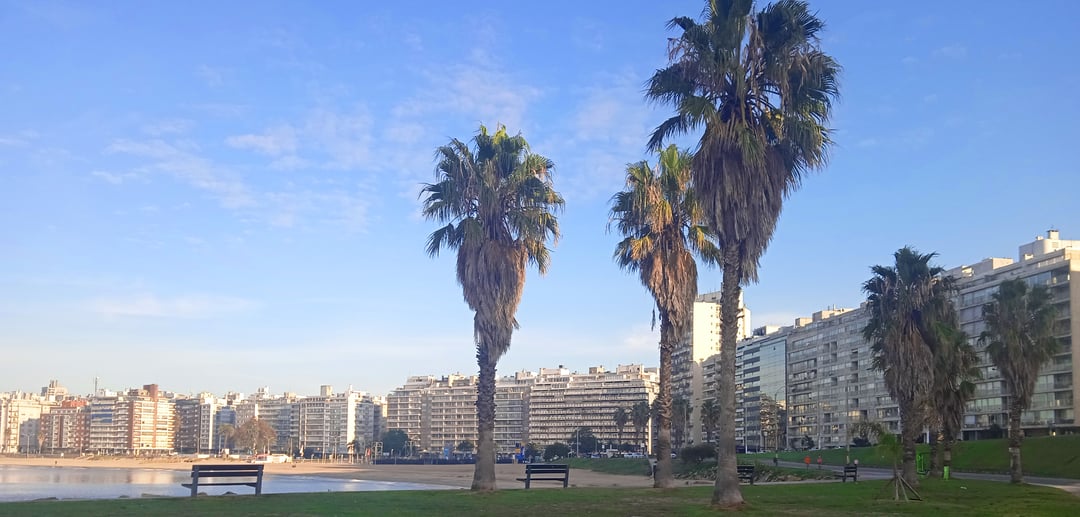 playa-ppocitos