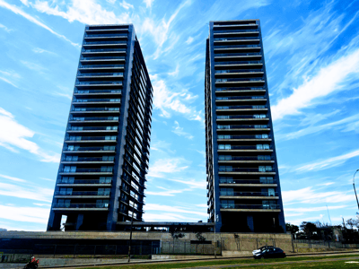 Estrellas de Malvín