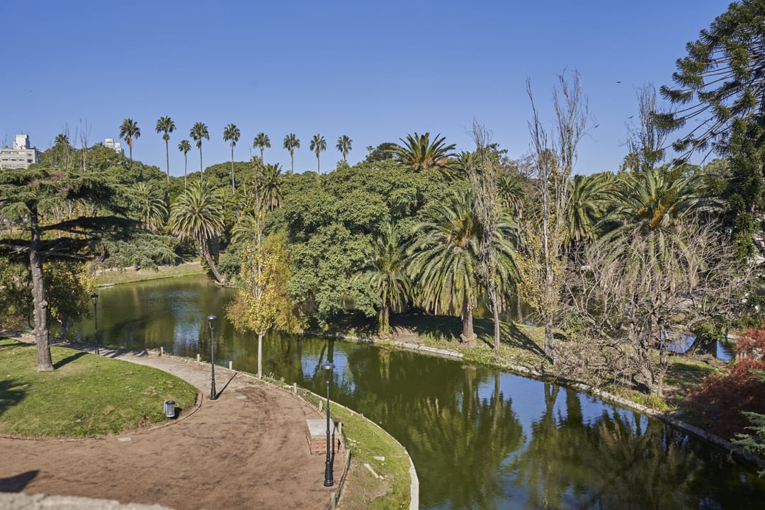 El lago del Parque Rodó visto desde arriba, con la caminería, palmeras y la hilera de palmeras altas al fondo