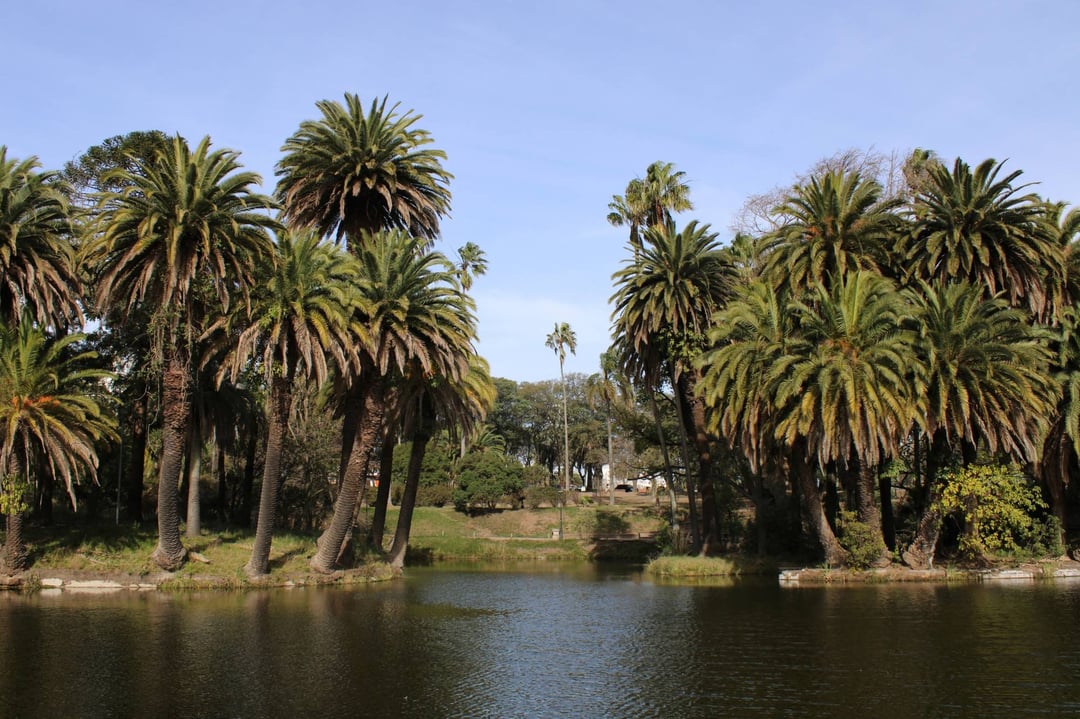 Lago del Parque Rodó rodeado de palmeras, en un día de sol