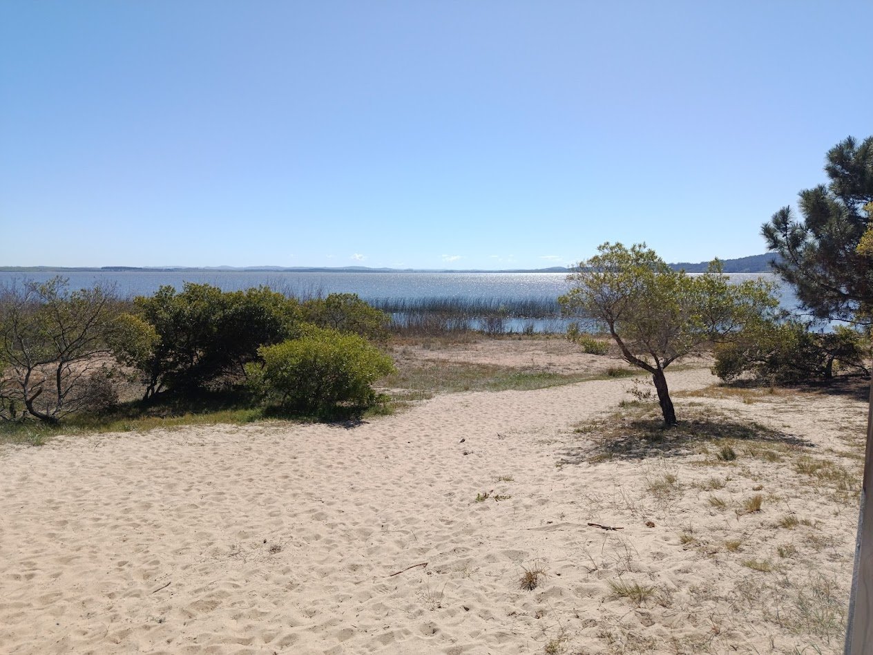 Laguna del Sauce