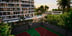 Manglar Albor