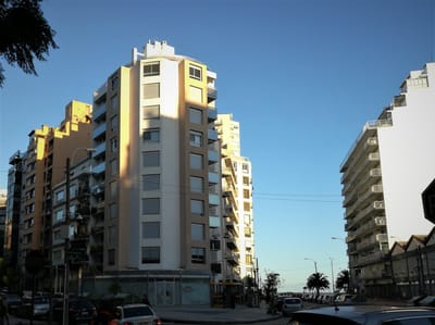 Vista Arenas